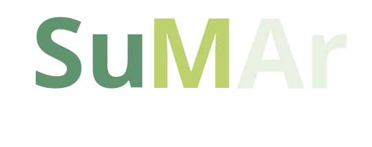 Construir San Martín